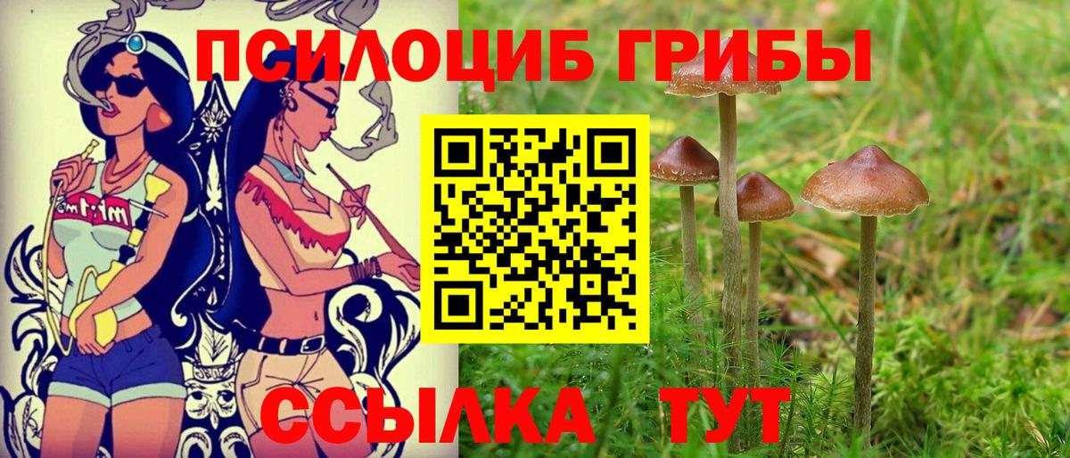 Галлюциногенные грибы GOLDEN TEACHER Геленджик