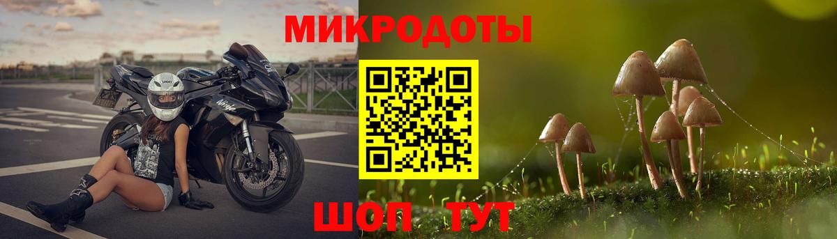 Геленджик  Псилоцибиновые грибы мицелий  Вход с VPN 